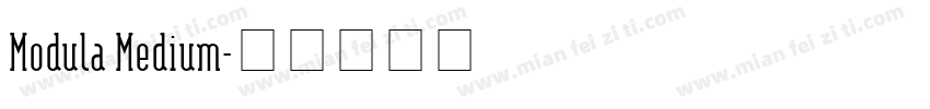 Modula Medium字体转换